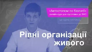 Рівні організації живого – Підготовка до ЗНО – Біологія