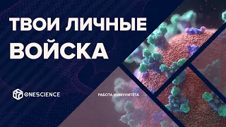 Армия внутри нас - иммунитет/OneScience💊