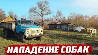 ЧП в деревне и шикарные виды! | Орловская обл, Покровский р/н с.Смирные