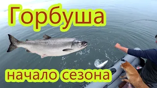 МегаКруто открыли сезон ловли горбуши!