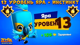 КАЧАЕМ ПОПУГАЯ ЯРУ НА 13 УРОВЕНЬ!!! ПЕРВОБЫТНЫЙ ИНСТИНКТ В ИГРЕ ZOOBA