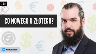 Przegląd aktualności na rynku Forex z Maciejem Przygórzewskim | Co nowego u złotego? | 19.05.2022