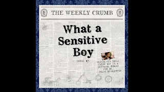 What a Barb! The Weekly Crumb - Issue #3: What a Sensitive Boy [Lady Whistledown Reveal Speculation]