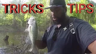 Bank Fishing Tips And Tricks For Spawning Crappie