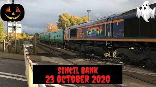 *Brand New Green Fence* Sincil Bank Level Crossing (23/10/2020) ft: 66773 - Pride of GBRf