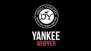 Droll Yankees Yankee Whipper Bird Feeder