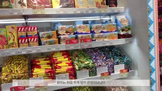 🇷🇺[러시아 vlog] 교환학생으로 크라스노다르에 살아남기🤞🏻/러시아 교환학생/ 알룐까 초콜릿 사먹기/ 트램 탈 때 조심할 것❣️/ кореянка