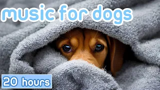 CALM YOUR DOG | Soothing Sounds to Relax Anxious Dogs [NEW 2023]