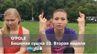 O'Pole: бешеная сушка 10. Вторая  неделя.