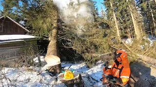 Isot kiitokset kaikille teille! - Märänneet männyt ja kookkaat kuuset