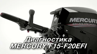 Диагностика моторов Mercury F15-F20 EFI