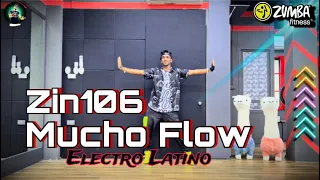Zin106 | Mucho Flow | Zumba fitness Electro Latino | Choreography Brother twins