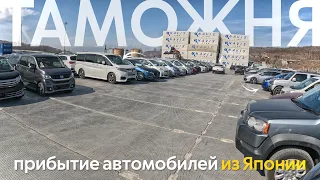 ЗАБИРАЕМ СРАЗУ 100 АВТОМОБИЛЕЙ С ТАМОЖНИ🔥ТАКОГО ЕЩЕ НЕ БЫЛО😱АВТОМОБИЛИ ОТ 700 ТЫСЯЧ❗️