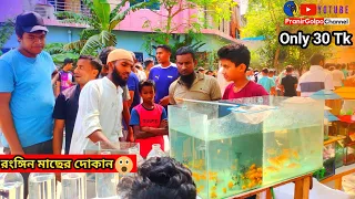 Aquarium Price In Bangladesh 🐠Aquarium Fish Price In BD 😱 Aquarium Fish Price In Khulna 2024