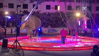 Jordan World Circus Elephant Performance, 16 October 2019, Troy, Ohio w/ handler George Hanneford