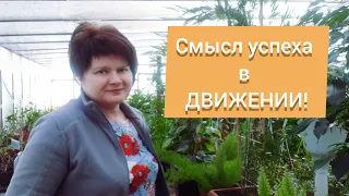 Новые возможности для всех!