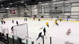 02/10 - Anaheim Ducks forwards drill