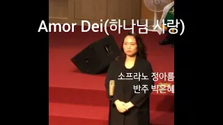 'Amor dei(하나님 사랑)' | 2020.07.19 장안제일교회 sᴏᴘʀᴀɴᴏ ᴀʀᴇᴜᴍ ᴊᴜɴɢ