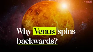 Why Venus spins backwards?