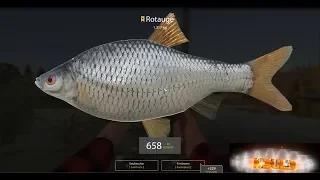 Russian Fishing 4 - # 9 - Alte Festung - Stippen mit Regenwurm