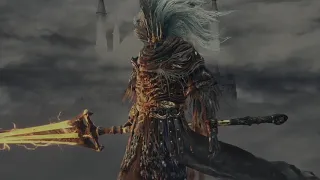 Nameless King Vs Nameless King Cosplay