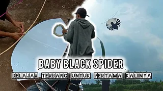 SETTING PERDANA LAYANGAN BABY BLACK SPIDER || LABA-LABA HITAM TERBANG SEMPURNA