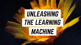 Teaching a Growth Mindset: Unleashing the Learning Machine