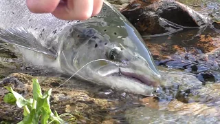 Something Like This HD - Salmon fishing Finnmark