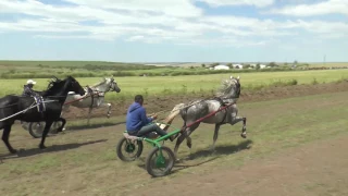 Бега в Чадыр-Лунге 2016 (Старший Возраст)