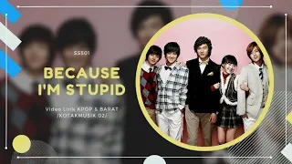 SS501 - 'BECAUSE I'M STUPID' Easy Lyrics (SUB INDO)  | BOYS OVER FLOWER OST