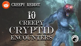 Terrifying encounters: 10 Creepy Cryptid Stories