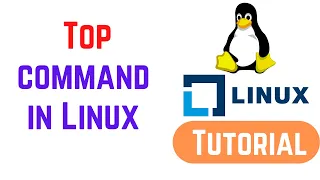 Top command in Linux with examples | How to Use Linux Top Command