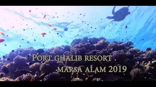 Port Ghalib Resort, Marsa Alam [Egypt - October 2019]