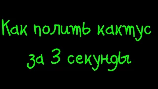 Как полить кактус за 3 секунды Смотри итересно!