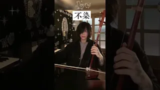 #erhu #music  不染