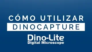 Cómo usar DinoCapture 2.0 para Dino-Lite en Windows