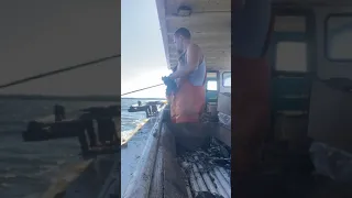 Maryland Chesapeake bay commercial crabbing