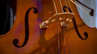 Christopher M. Kraus - Vocalise, by Rachmaninoff | with Warren Ulaner, Double Bass