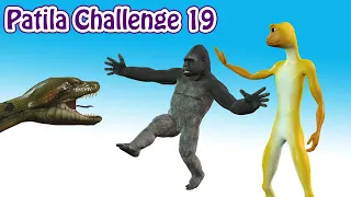 Patila Challenge 19. Patila - Missed The Stranger Funny Gorilla & Anaconda Animated Short Film.