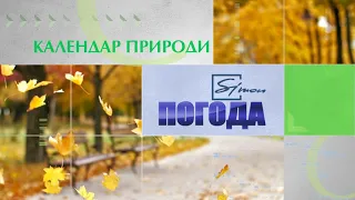 Погода на 24 жовтня 2021