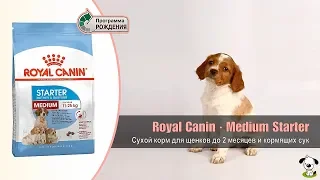 Сухой корм для щенков до 2 месяцев и кормящих сук средних пород · Royal Canin Medium Starter