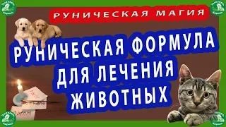 РУНИЧЕСКАЯ МАГИЯ | РУНИЧЕСКАЯ ФОРМУЛА ДЛЯ ЛЕЧЕНИЯ ЖИВОТНЫХ(язва,ушибы,раны,энцефалит).🐶🐈☸