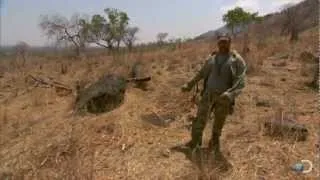 Using Animal Tracks to Find Water | Dual Survival