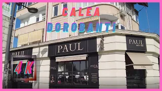 ▪4K▪Bucharest Walks: Calea Dorobanti full tour. The area where the rich spend their money