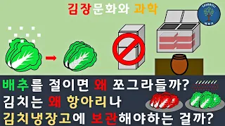 김장 문화와 과학 ｜배추를 절이면 쪼그라드는 이유｜김치 보관시 항아리나 김치 냉장고를 쓰는 이유 ｜김치 ｜ 김장의 역사 ｜김치 과학 ｜  The science of Kimjang