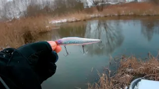 Эта ПРИМАНКА меня УДИВИЛА! Зимний спиннинг. Твичинг в мороз. Иван Кашицин.