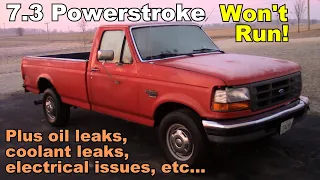 7.3 Powerstroke Knocking, Rough Idle, Dying, but only when Cold. Plus many other Issues!