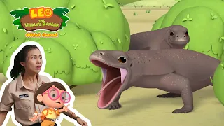 A REAL DRAGON?!?! 🐉 | Komodo Dragon | Leo the Wildlife Ranger | #minisode | Kids Cartoons