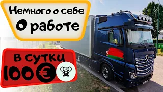 О работе за 100€ в сутки#дальнобой #водительгрузовика #дальнобойщик #дальнобойпоевропе #12колес