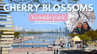 life in Seoul 🇰🇷 cherry blossoms in Yeouido park 🌸